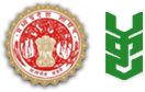 Logo 5