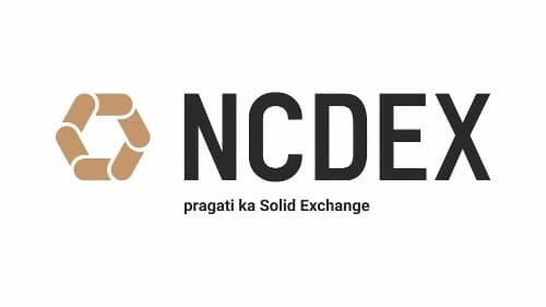 Excellence in Workplace Culture Award β NCDEX